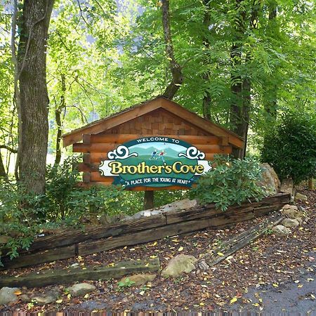 Villa Hoot 'N Hollar #31 Sevierville Exterior foto